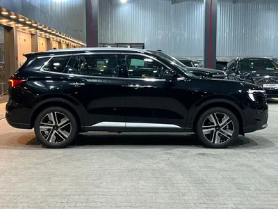 2026 فورد تيريتوري تيتانيوم بلس