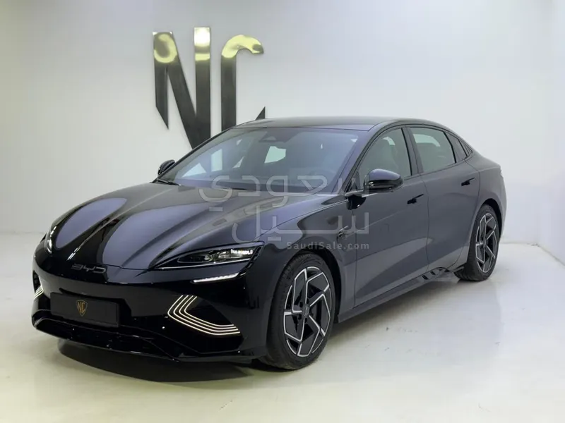 2025 بي واي دي سيل