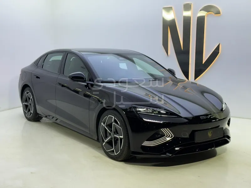 2025 بي واي دي سيل