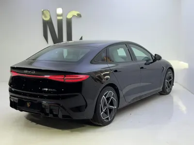 2025 بي واي دي سيل