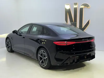 2025 بي واي دي سيل