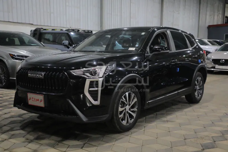 2025 هافال جوليون