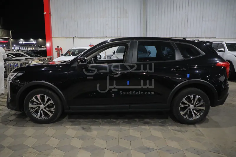 2025 هافال جوليون