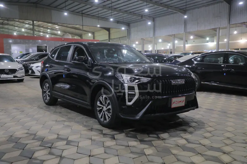 2025 هافال جوليون