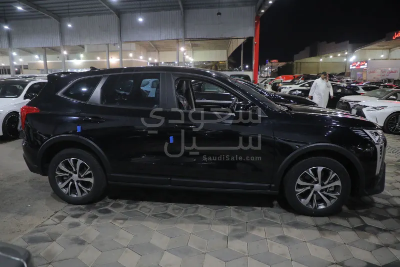 2025 هافال جوليون