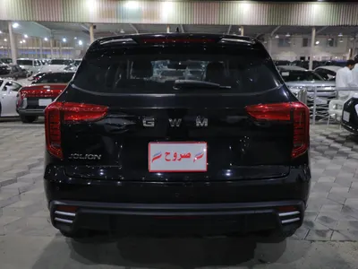 2025 هافال جوليون