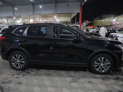 2025 هافال جوليون