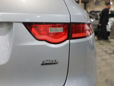 2019 جاكوار اف-بيس