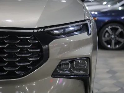 2023 فورد تيريتوري تريند