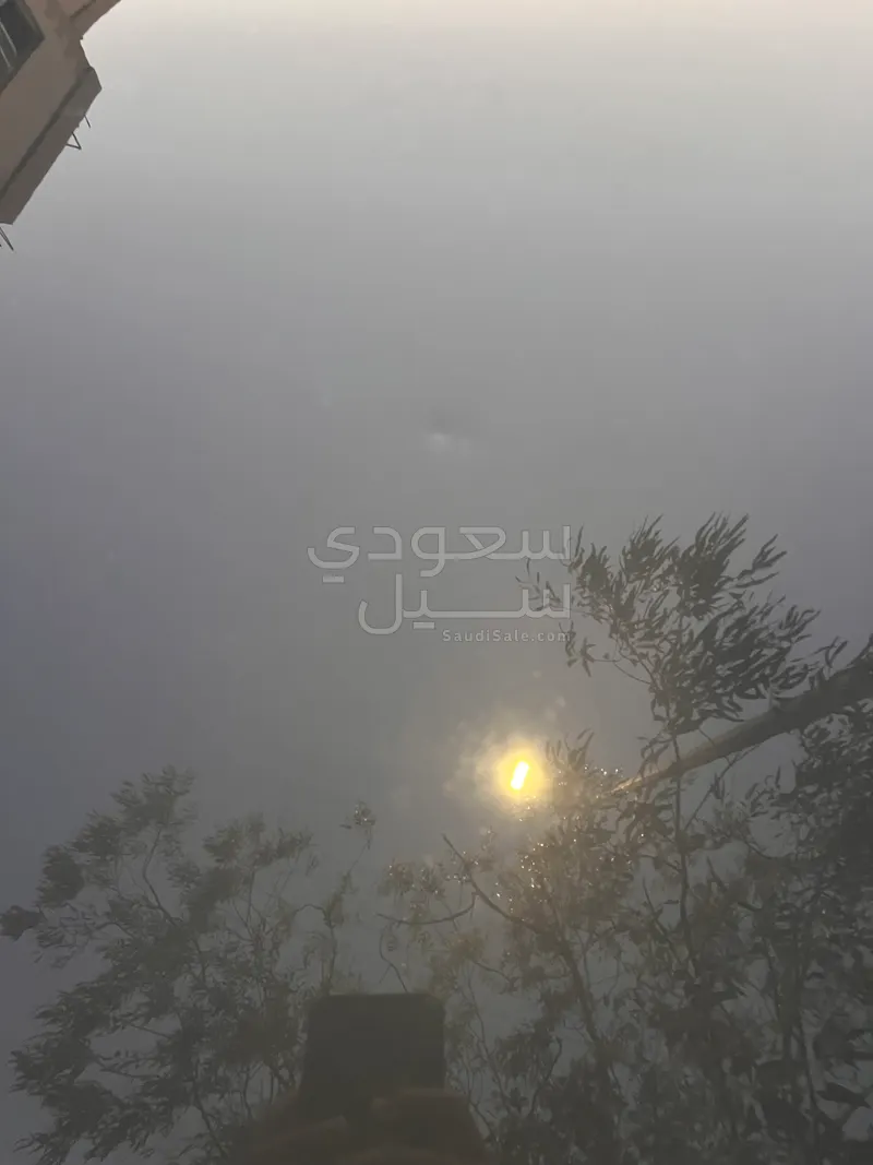 2023 مازدا سي اكس 9