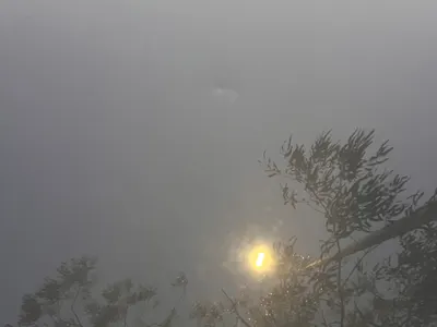 2023 مازدا سي اكس 9