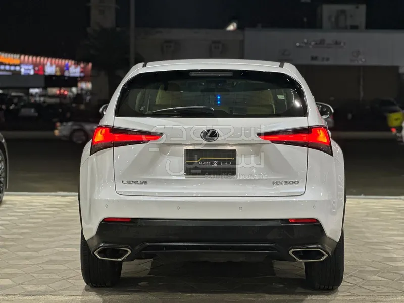 2019 لكزس إن إكس 300