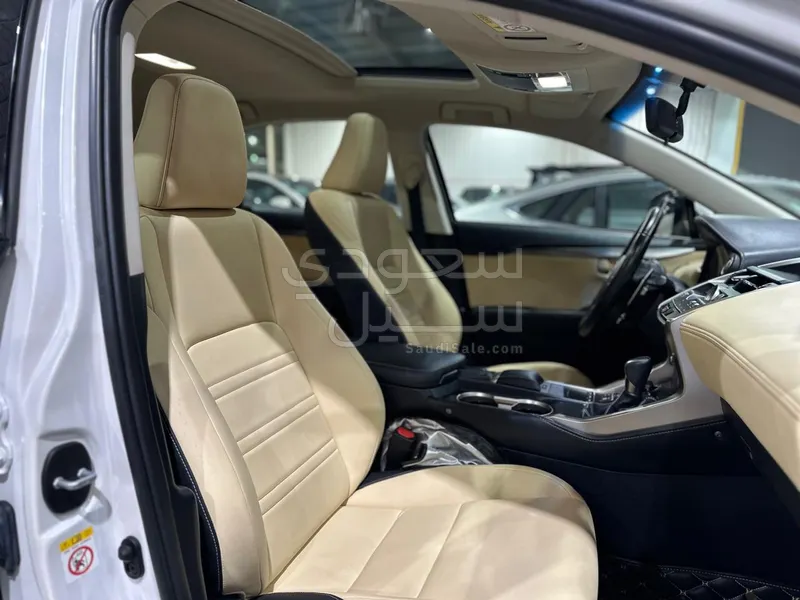 2019 لكزس إن إكس 300