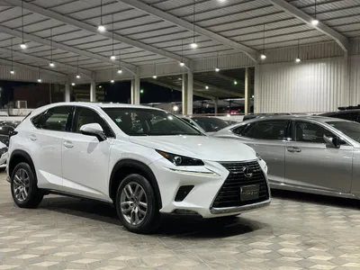 2019 لكزس إن إكس 300