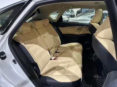 2019 لكزس إن إكس 300