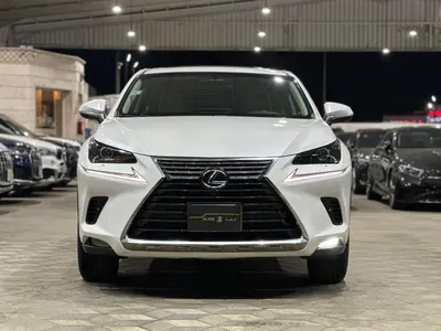 2019 لكزس إن إكس 300