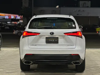 2019 لكزس إن إكس 300