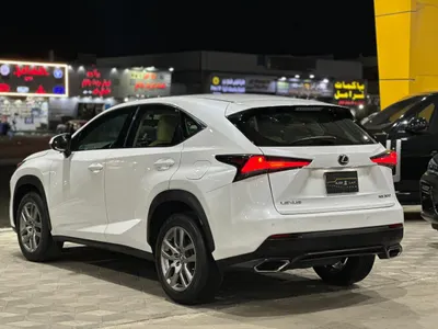 2019 لكزس إن إكس 300