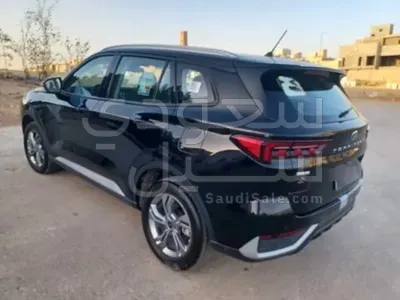 2024 فورد تيريتوري