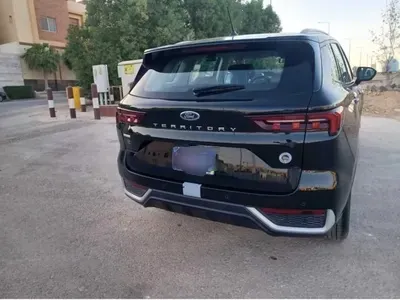 2024 فورد تيريتوري