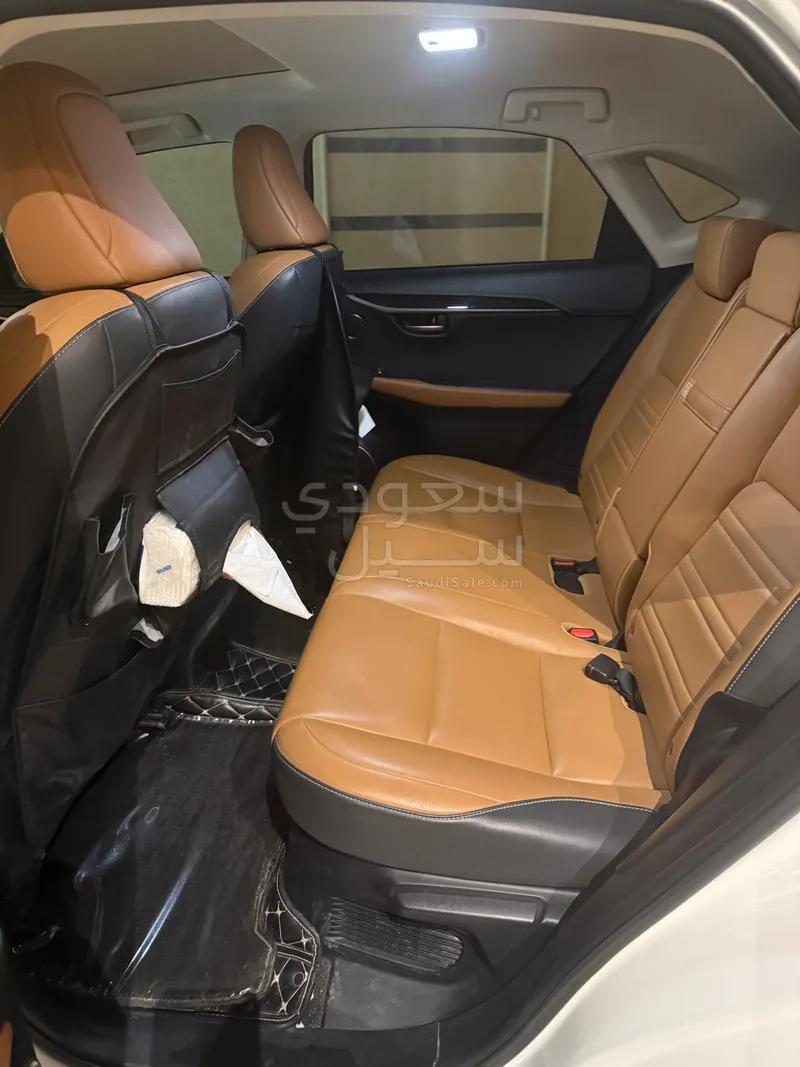 2020 لكزس إن إكس 300