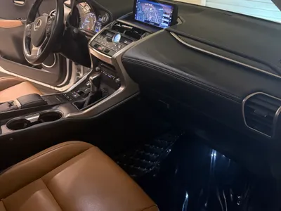 2020 لكزس إن إكس 300