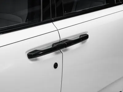 2020 رولز رويس كولينان بلاك بادج