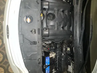 2009 كيا كارنفال