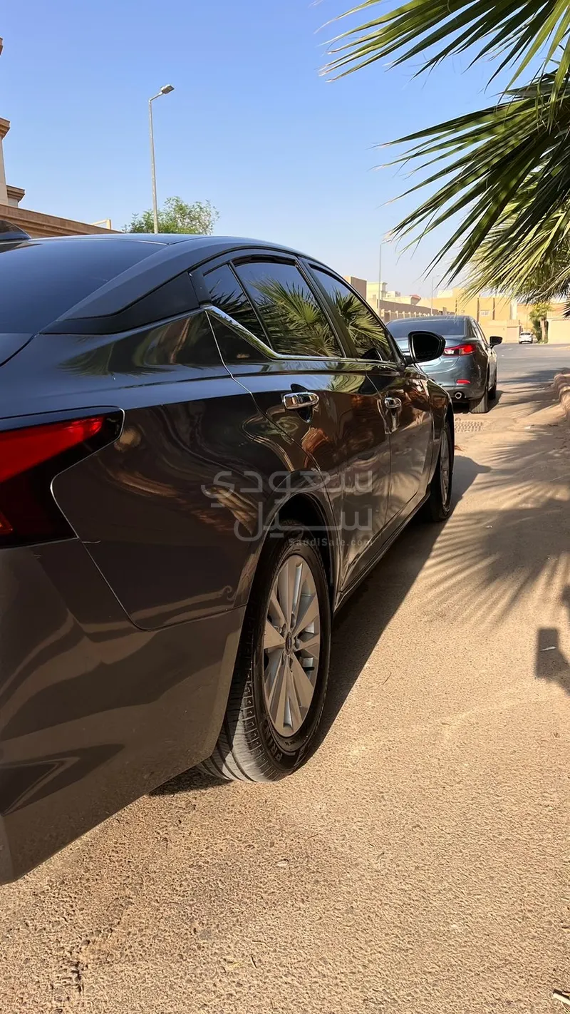 2024 نيسان التيما