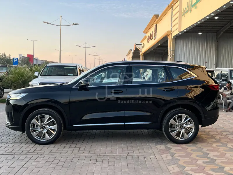 2024 هافال اتش 6