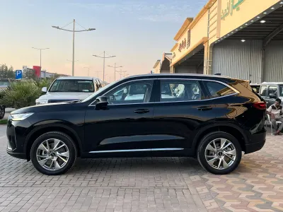 2024 هافال اتش 6