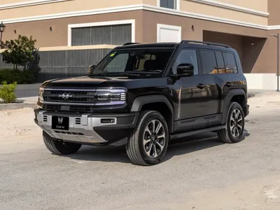 2025 بي واي دي ليوبارد 5