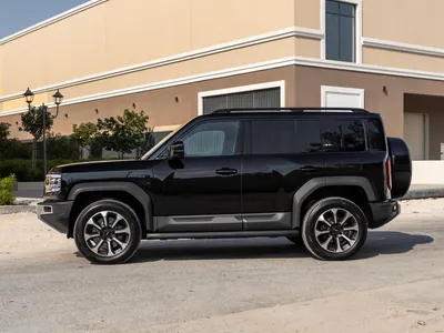 2025 بي واي دي ليوبارد 5