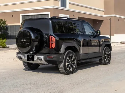 2025 بي واي دي ليوبارد 5