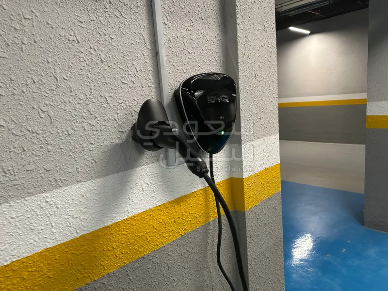 2025 بي واي دي سونج ماكس