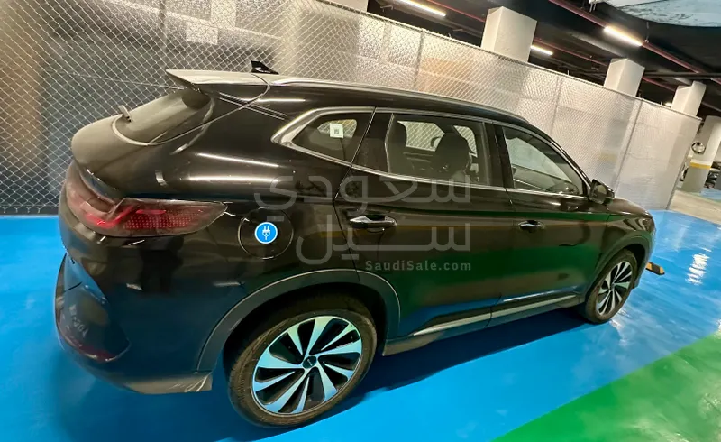 2025 بي واي دي سونج ماكس