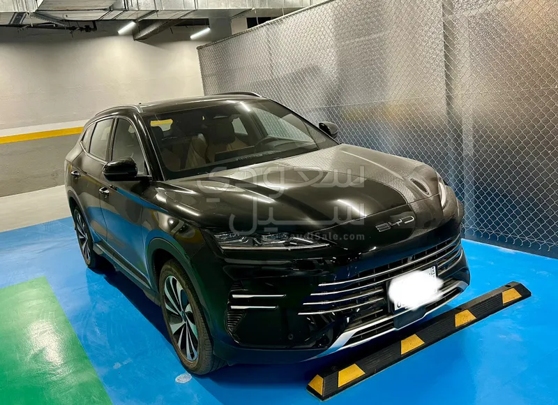 2025 بي واي دي سونج ماكس