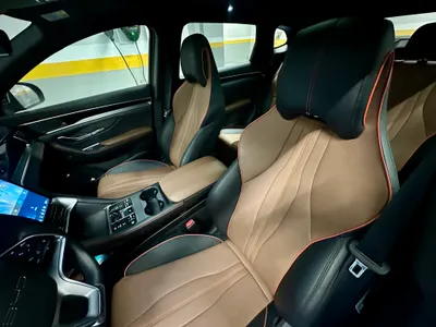 2025 بي واي دي سونج ماكس