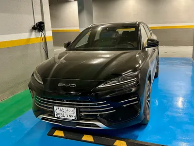 2025 بي واي دي سونج ماكس