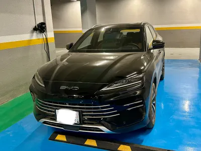 2025 بي واي دي سونج ماكس