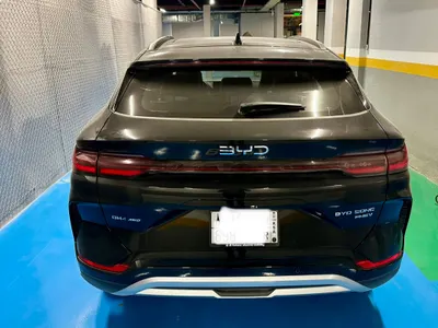 2025 بي واي دي سونج ماكس