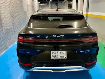 2025 بي واي دي سونج ماكس