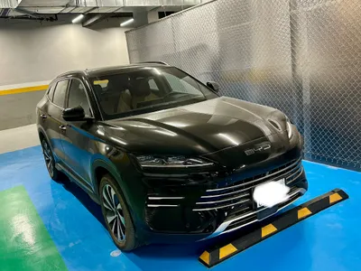 2025 بي واي دي سونج ماكس