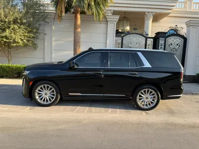 2023 كاديلاك اسكاليد بريميوم