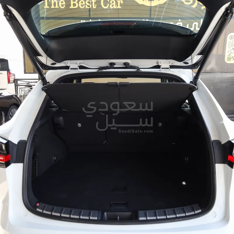 2025 لكزس إن إكس 300 اف سبورت