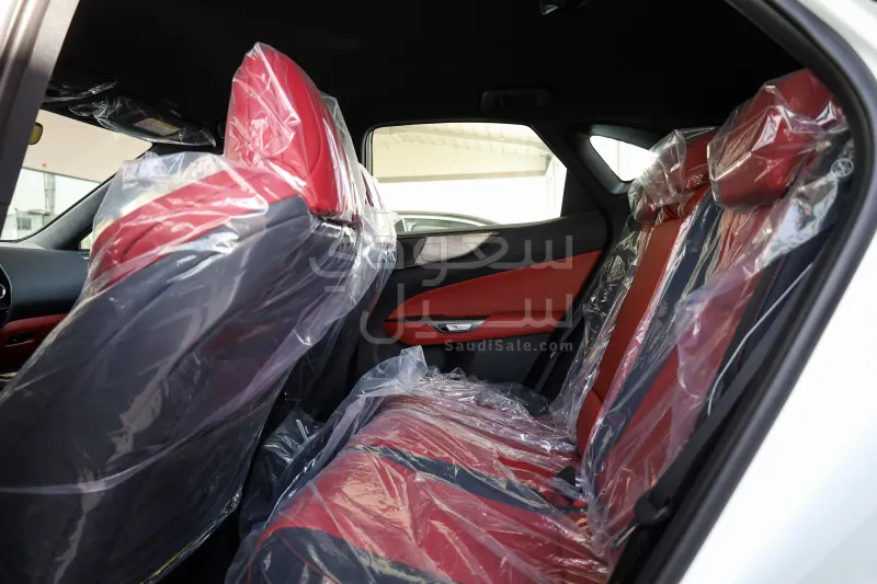 2025 لكزس إن إكس 300 اف سبورت