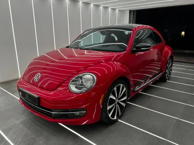 2013 فولكس واجن بيتل