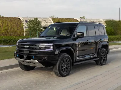 2026 بي واي دي ليوبارد 5