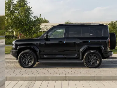 2026 بي واي دي ليوبارد 5