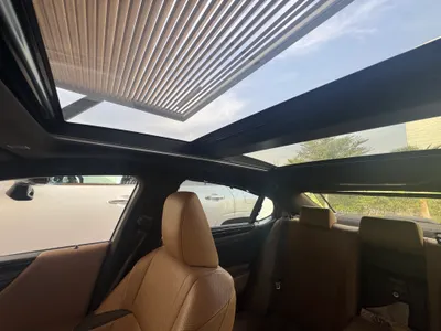 2019 لكزس إي إس 250